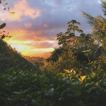 Estacion Biologica Aguali Hostel Matagalpa Kültér fotó