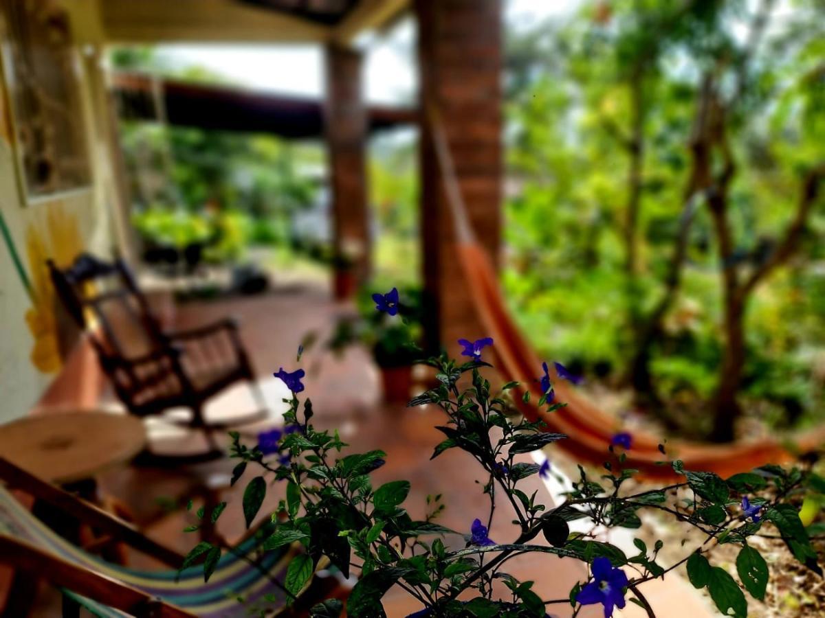 Estacion Biologica Aguali Hostel Matagalpa Kültér fotó